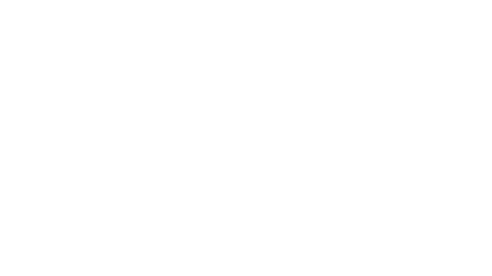 AAXOD — Soluciones aéreas especializadas